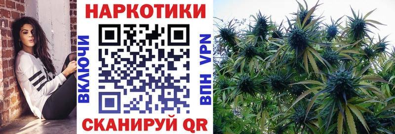 Виды наркотиков купить Луга Cocaine Меф KRAKEN онион Бошки Шишки