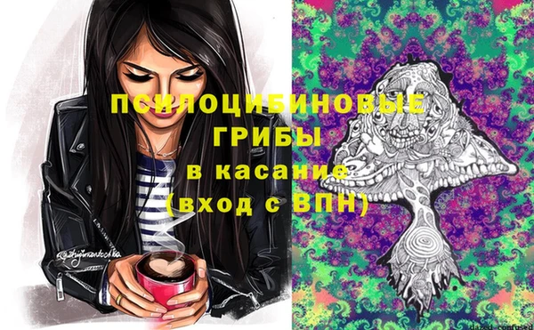 индика Алексеевка