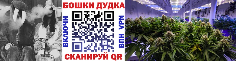 Бошки марихуана SATIVA & INDICA Луга